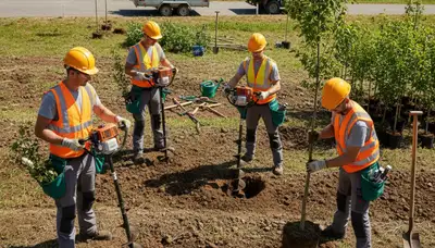 Austin, TX arborist planting a new tree for residential tree planting service