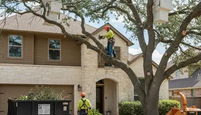 Austin, TX tree service crew providing professional tree trimming and removal for local properties