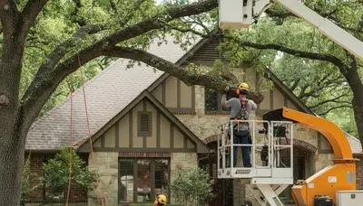 Austin, TX tree service crew performing professional tree trimming for a residential property