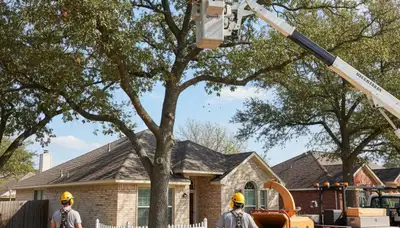 Tree service crew in Austin, TX providing professional tree care and removal for homeowners